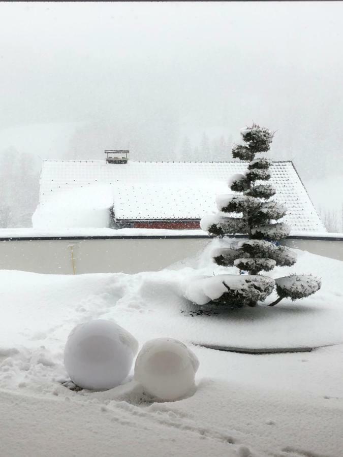 Appartment Sun Chalet Schladming Eksteriør billede